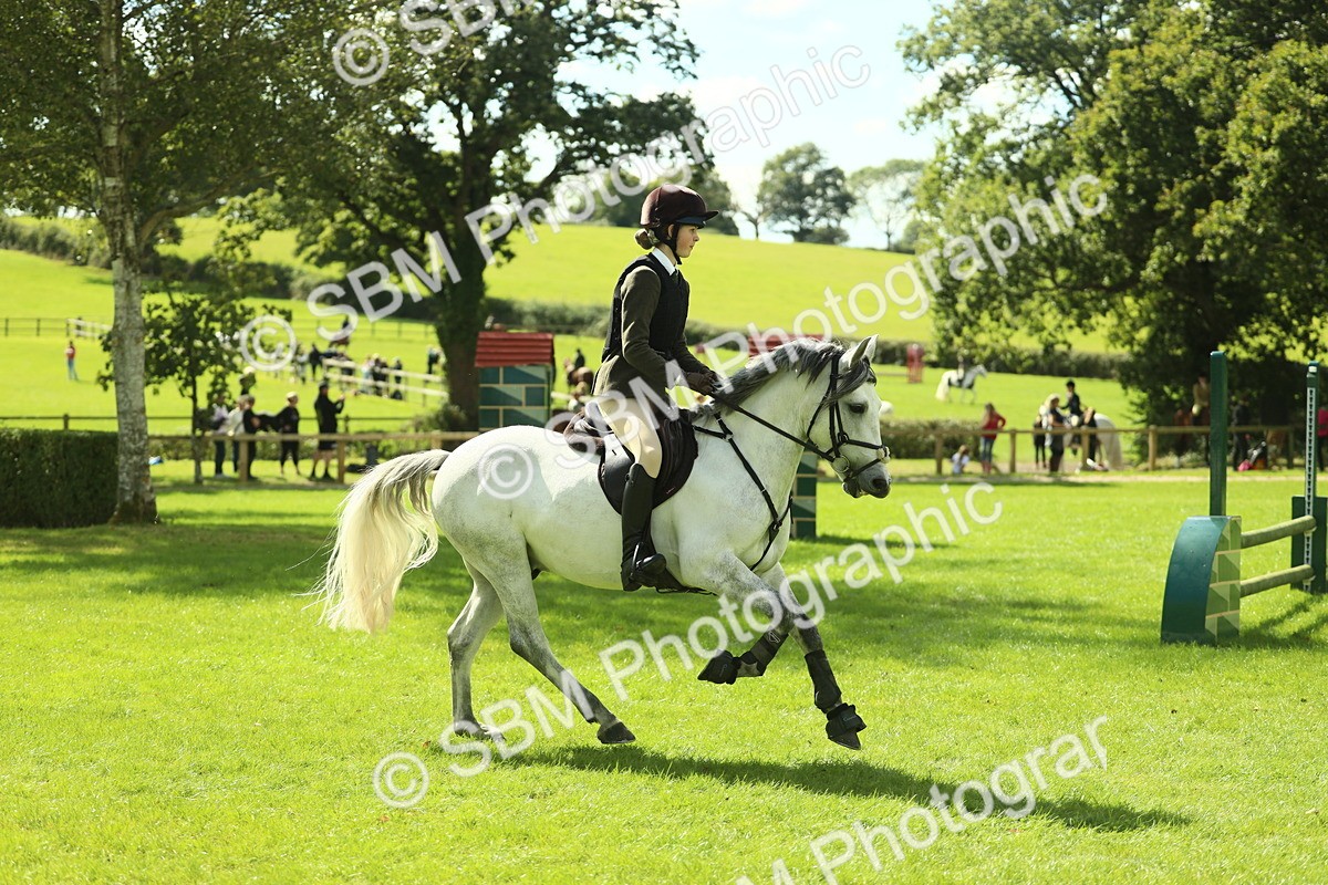 SBM_42949 - S30 - M&M Working hunter Pony