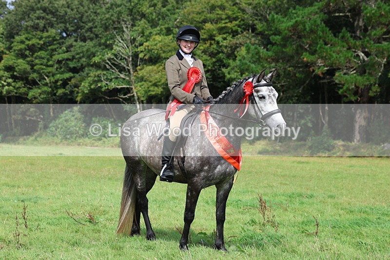 3E7A6167 - Working Hunter Championship