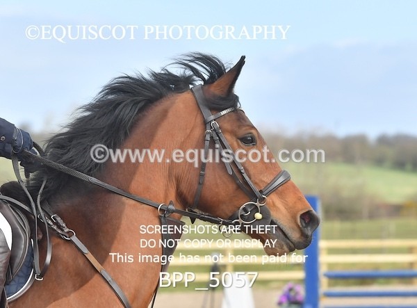 BPP_5057 - CLASS 1 Club/ Unaffiliated 70cms Open