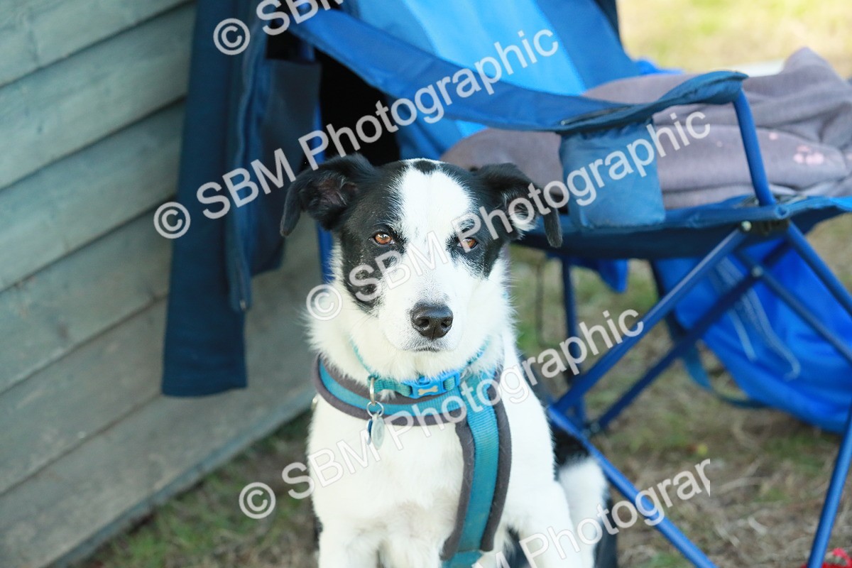 SBM_21851 - E11 - Eventers Challenge 60cm Championship