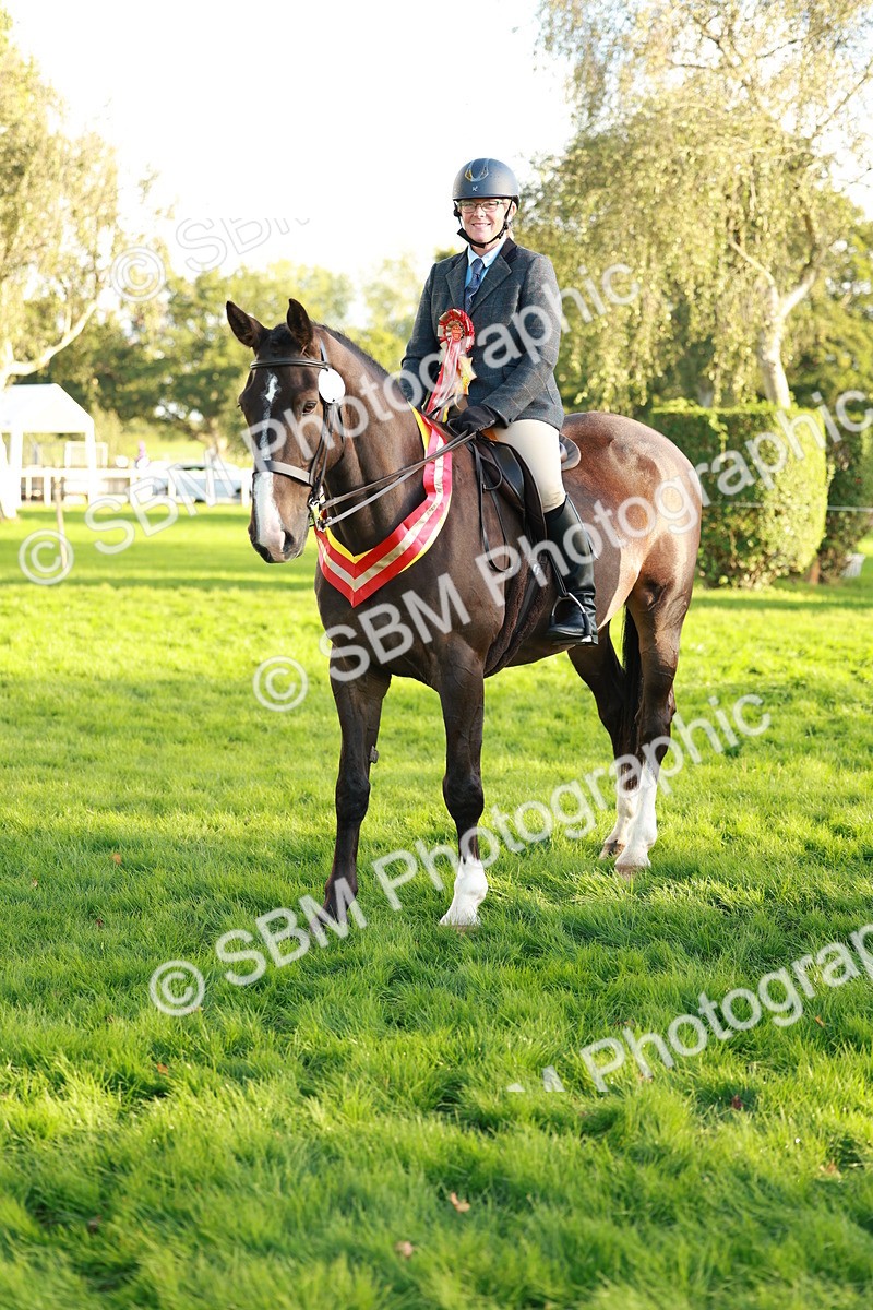 SBM_29317 - Novice & newcomer Supreme Championship