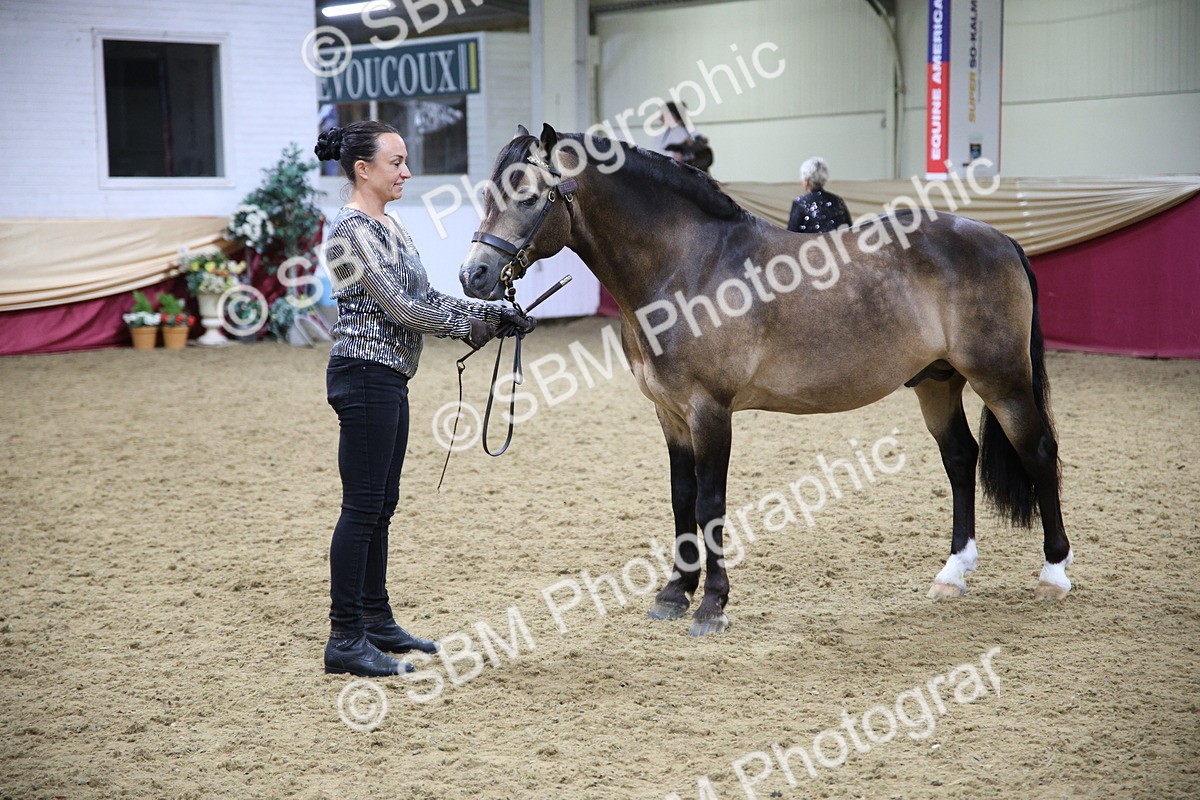 SBM_18759 - Class D IH Pony Champ