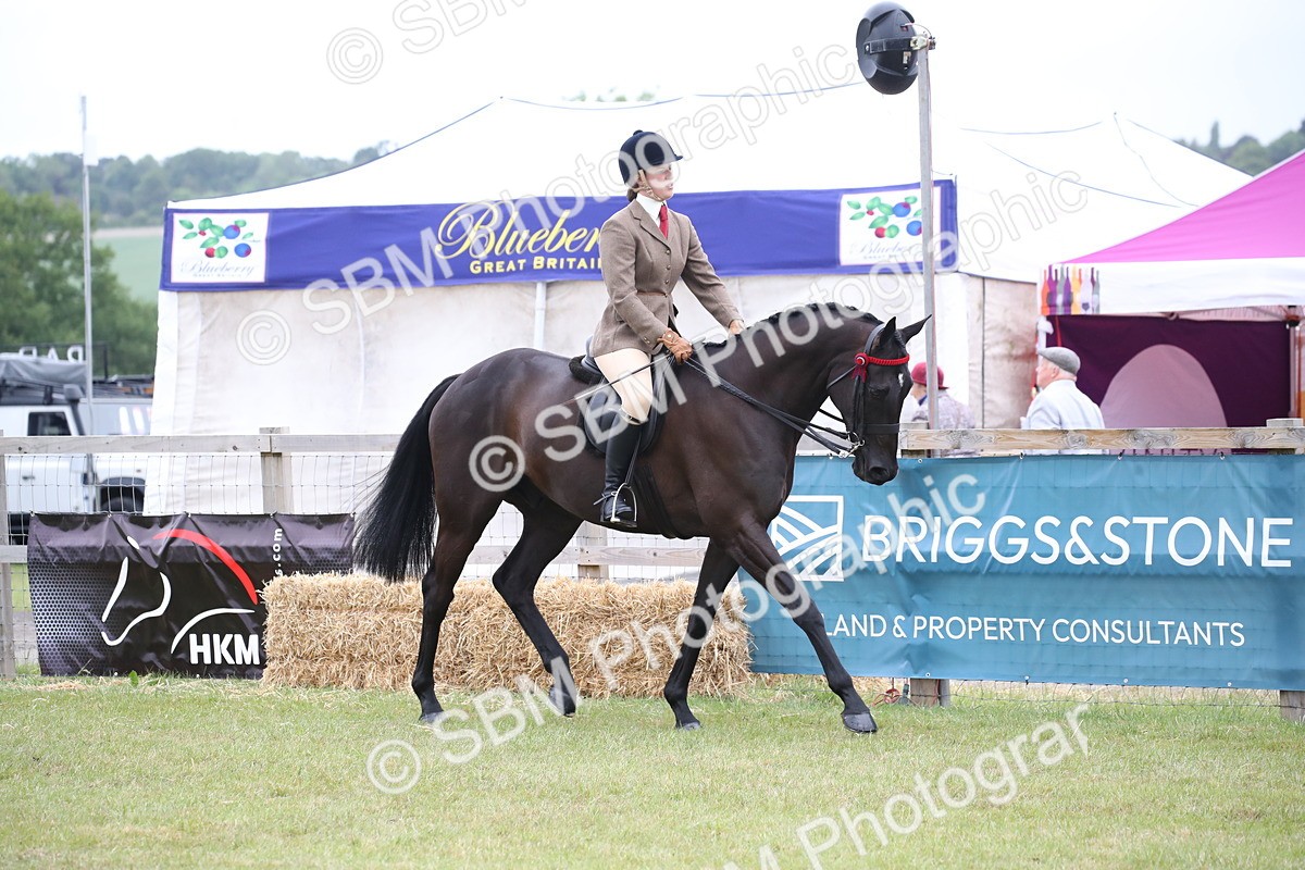 SBM_11381 - Class 94 - LIHS BSHA Racehorse to Showhorse
