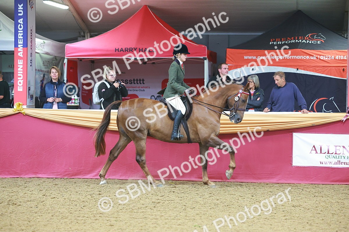 SBM_09642 - Class 102 - HOYS Veteran Qualifier - Ridden Veteran