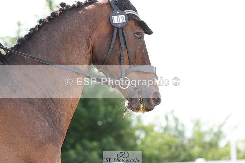 240622A-172623-14874 - Cls 38 BD FEI PSG