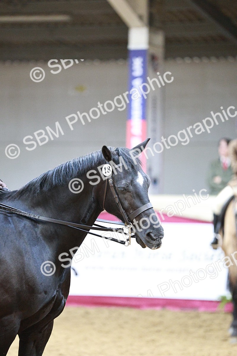 SBM_03489 - Class 6A Area Ridden Pre-Vet