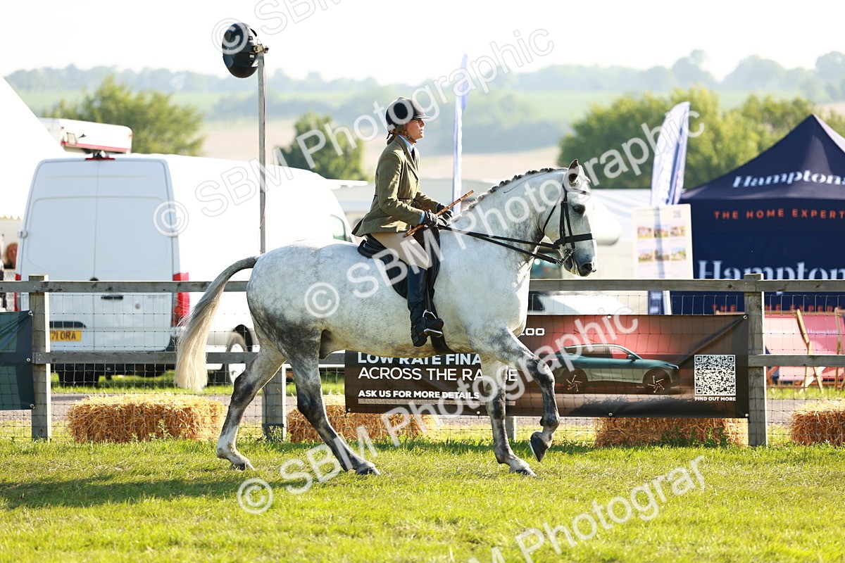 SBM_10740 - Class 66-69 - RIHS Ridden Hunters Inc Small Hunter