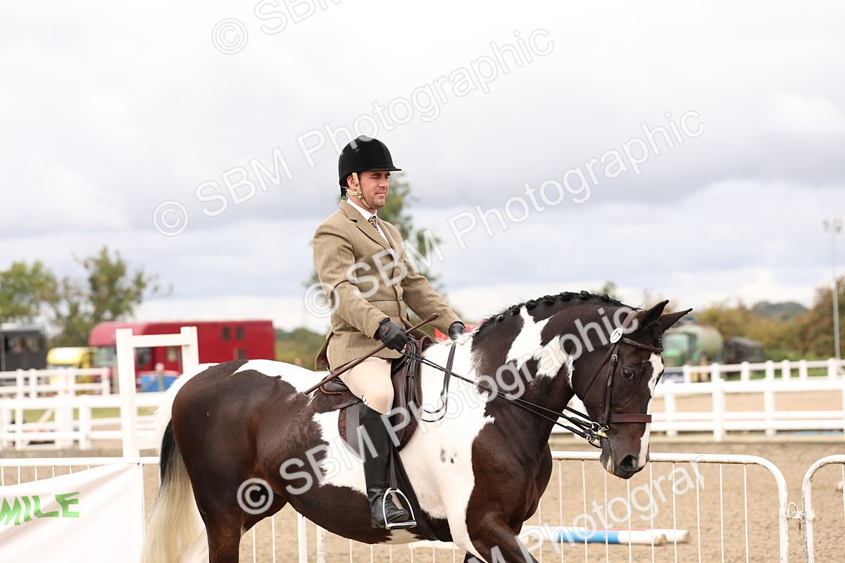 SBM_02778 - Class 53 - Ridden Competition Horse/Pony