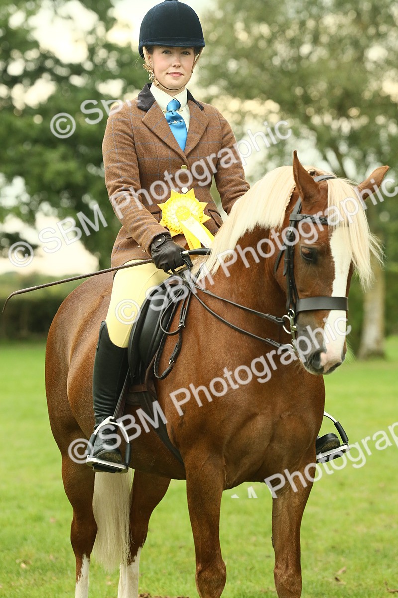 SBM_72322 - S60 - Mountain & Moorland Ridden Large Breeds