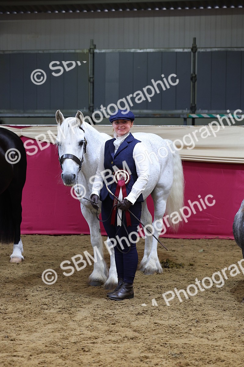 SBM_22969 - Class 903 - Supreme Final - IH Pre Vet