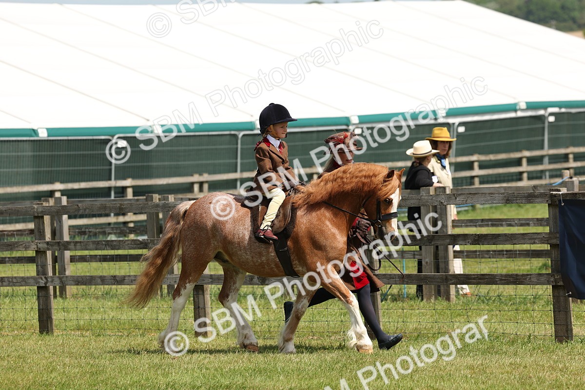 SBM_05223 - Class 24-25 - Mountain & Moorland In Hand Lead Rein and First Ridden
