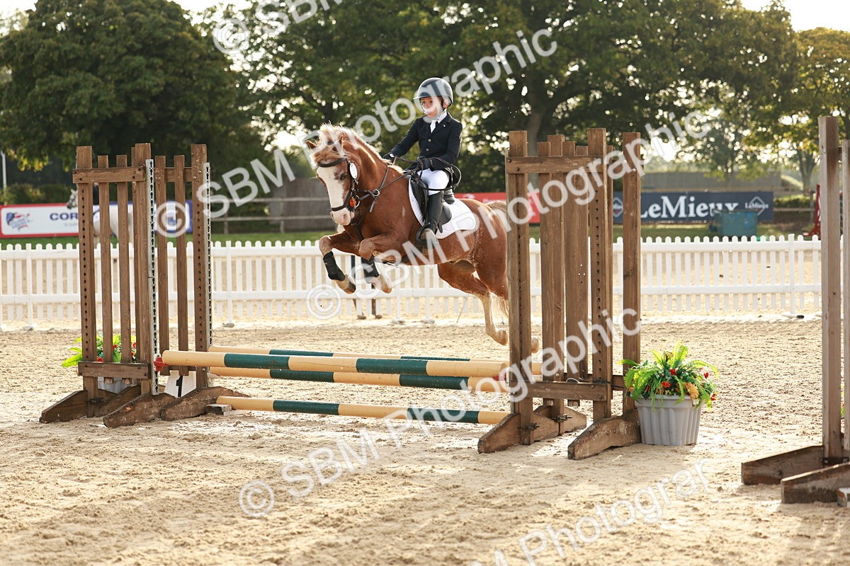 SBM_55521 - J11 - Junior Pony 50cm Championship