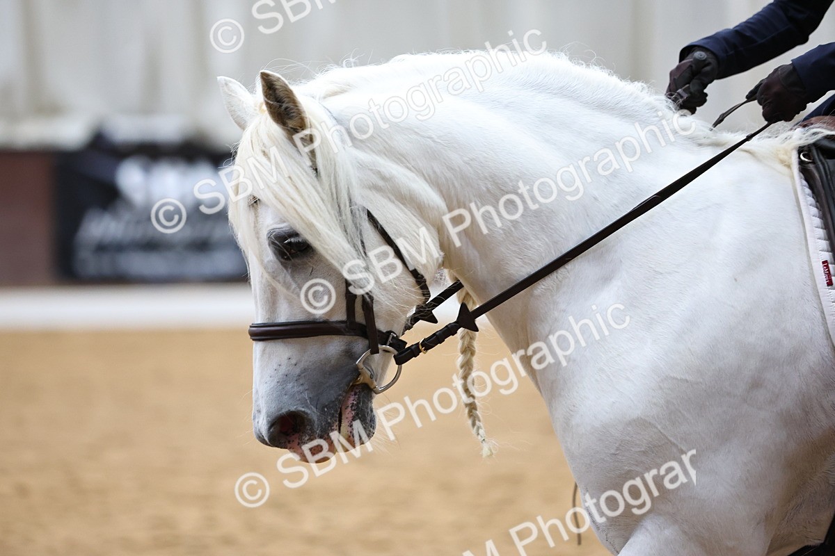 SBM_017199 - Class 5 - Novice FSM