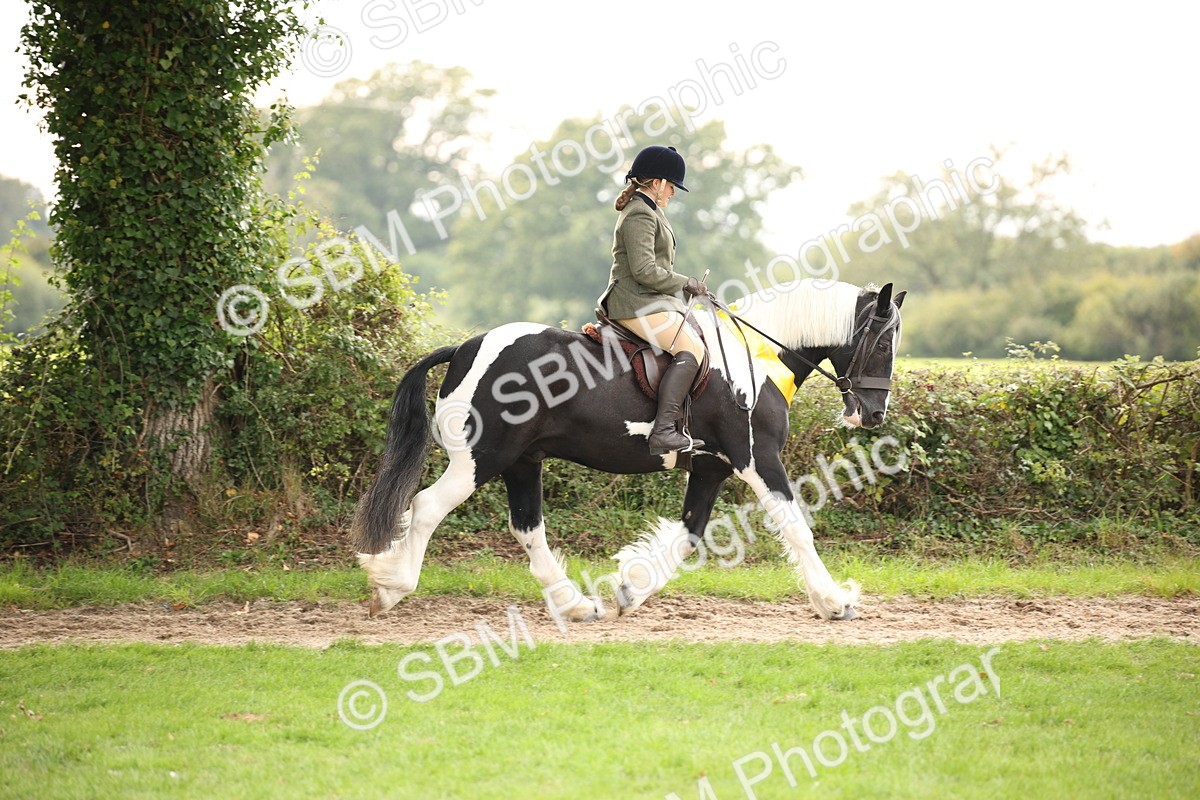 SBM_73630 - Ridden Horse Supreme Championship