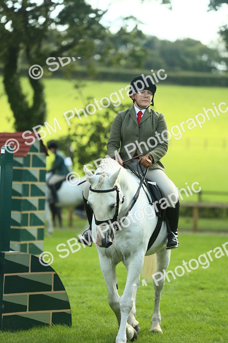 SBM_50716 - S33 - Working Hunter & Working Show Horse
