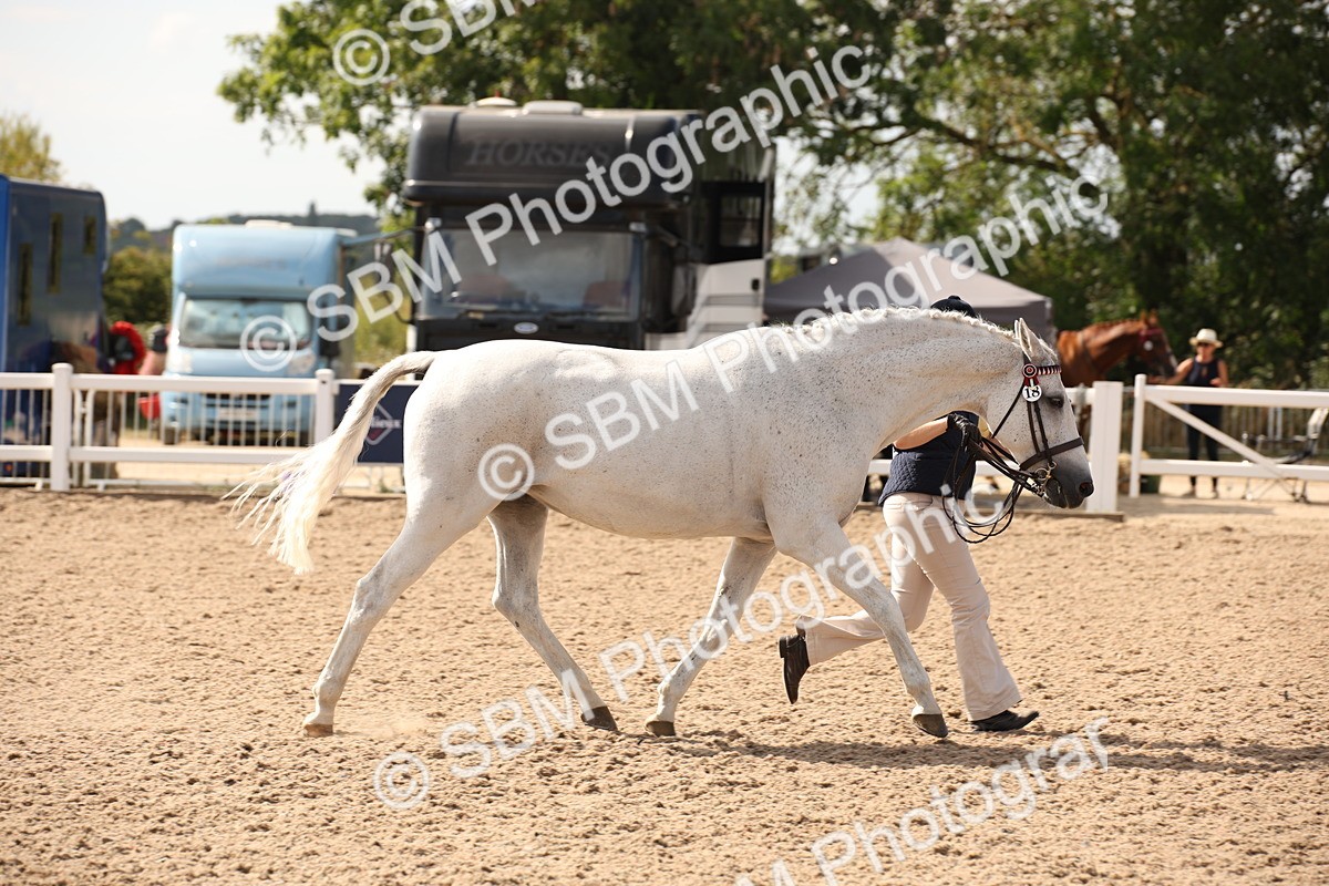 SBM_07053 - Class 25 IH Foreign Breeds- Pure bred