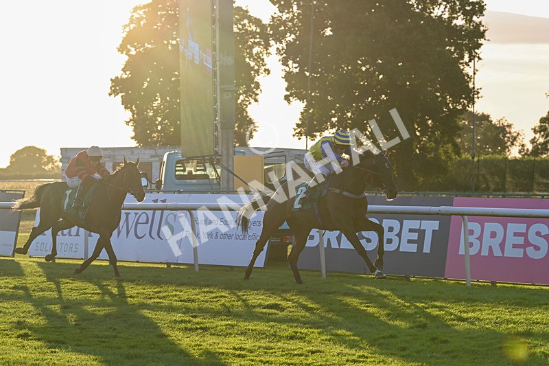 160824-Race 6-Smart Vision-9791 - Race 6