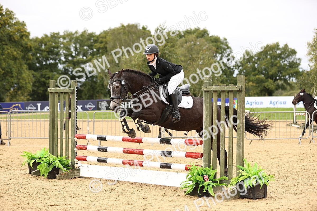 SBM_66652 - J17 - Junior Pony 80cm Championship