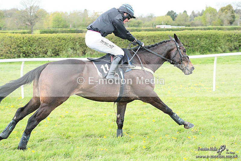 PtP 180426 583 - Worcestershire Hunt PtP Chaddesley Corbett 18/04/26