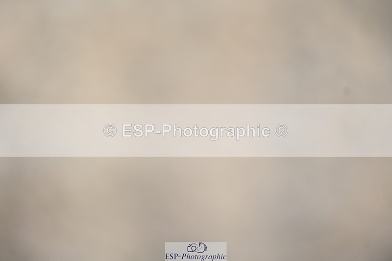 240323A-101753-01128 - MyQuest Prelim 12