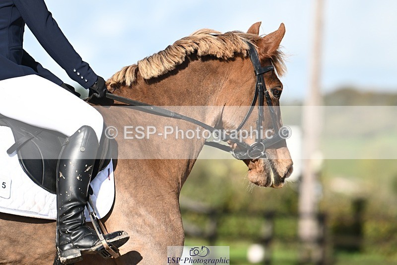 231105-125321-01747 - Cls 2 Prelim 7 12.41 to End