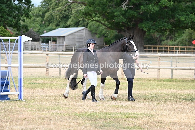 WJ6_4194 - Class 10 Coloured In-hand