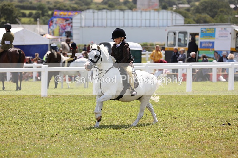 JPP_1831 - Class 18: Tiny Tots Working Hunter Pony