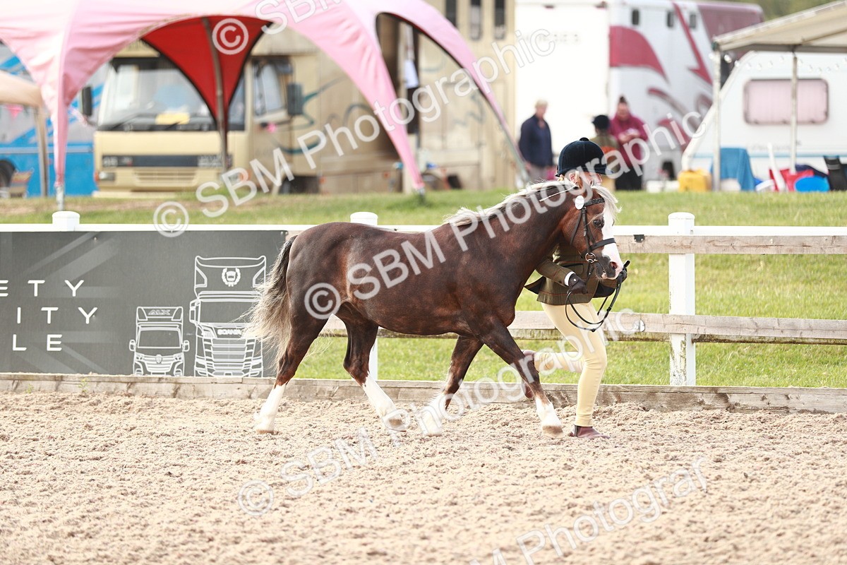 SBM_10508 - Class 204 Young Handler, 11-16 years