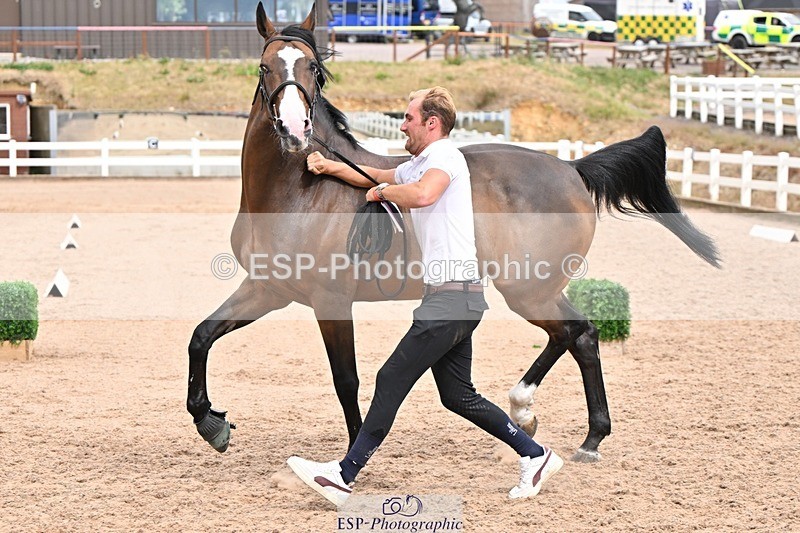 250716-161609-02538 - Trot Up 3.30 to 4.30