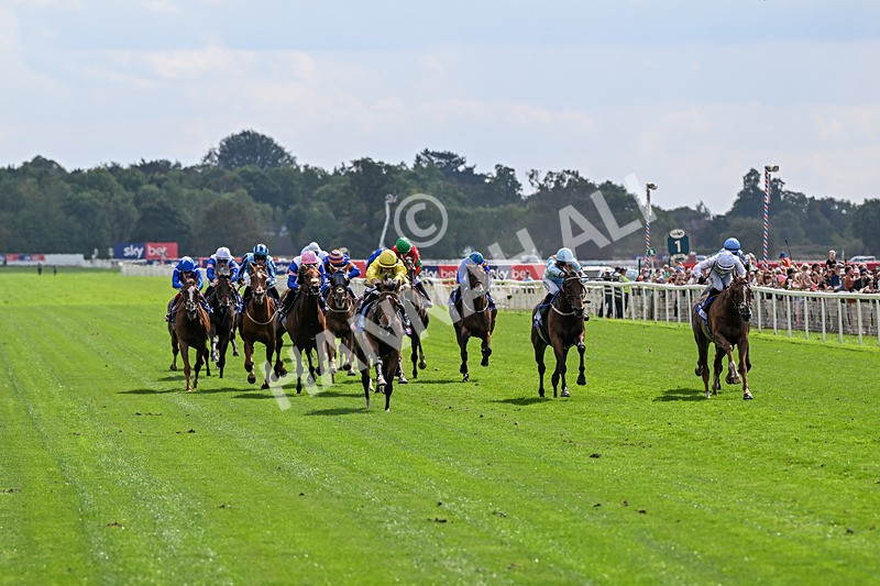 220826-Race 2-Infraad-9730 - Race 2 14.25pm Sky Bet Melrose Handicap