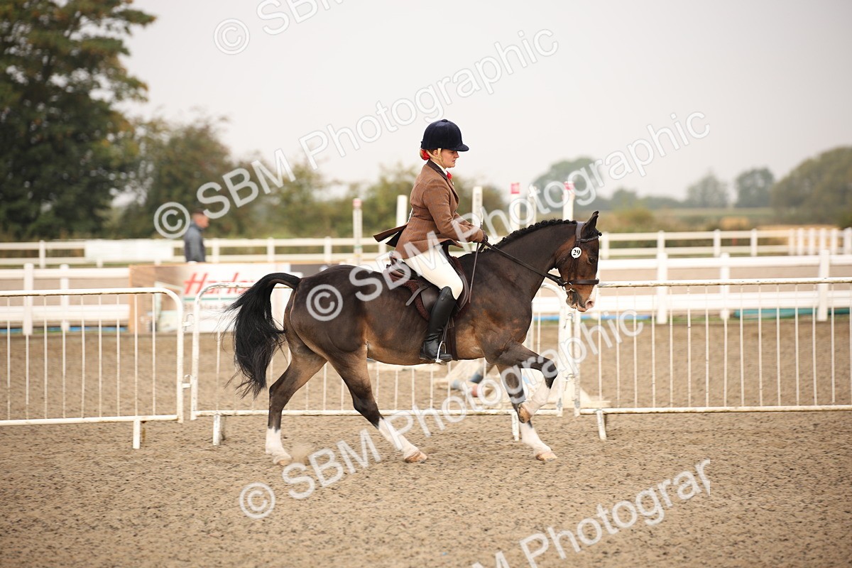 SBM_09800 - Class 401 Riding Club Pony