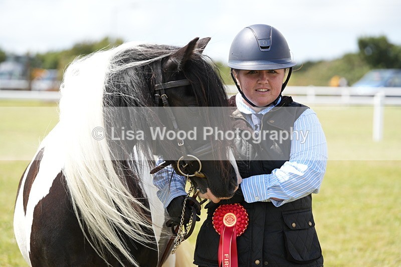 DSC06957 - Class 60: Coloured Pony 4yrs & over