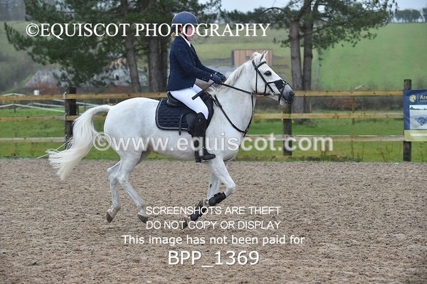 BPP_1369 - CLASS 5 Pony BritiNovice / 0.80m Open