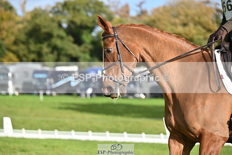 251024A-102627-08327 - G-556-Abi.Jacobs