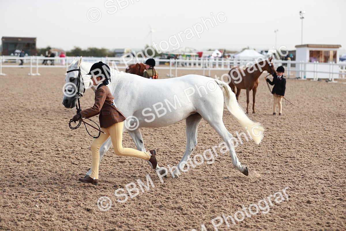 SBM_09894 - Class 203 Young Handler, 10 years and under