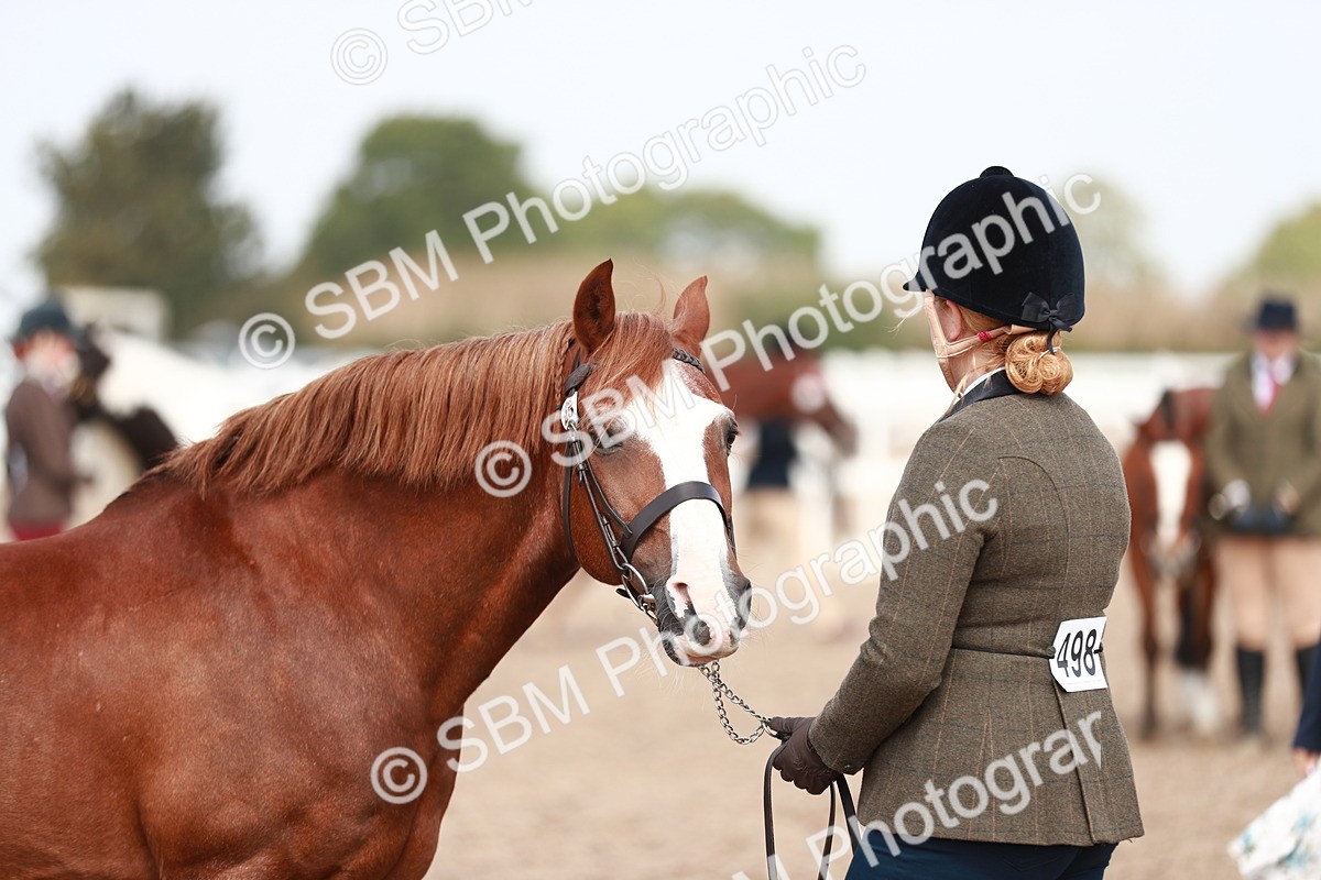SBM_13918 - Class 209 IH Veteran Pony
