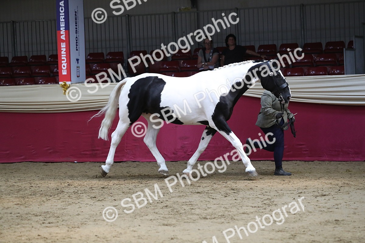 SBM_06247 - Class 9R Regional- IH Pre Vet