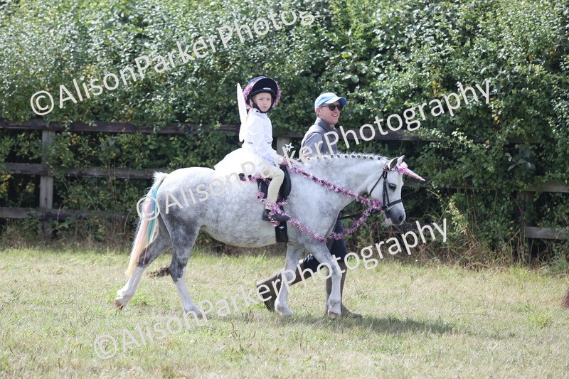 20250831-3605 - Class 26 - Fancy Dress