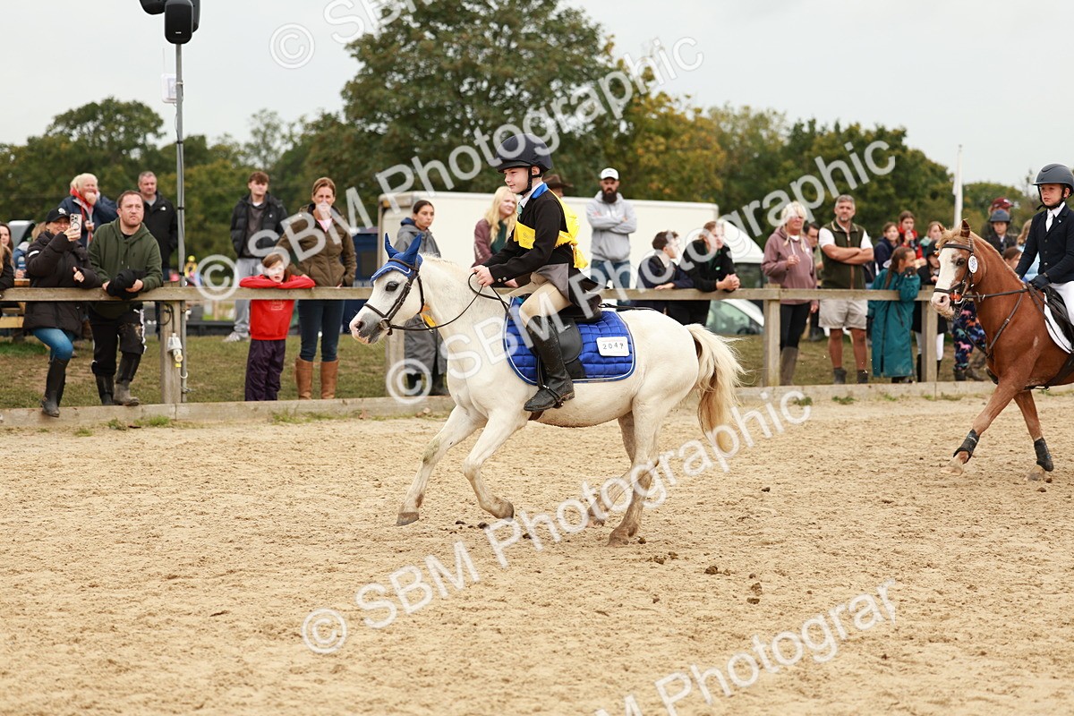 SBM_58129 - J11 - Junior Pony 50cm Championship