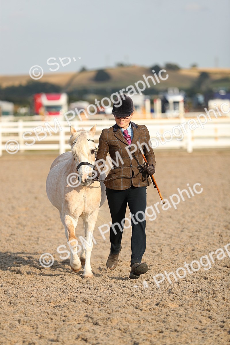 SBM_09066 - Class 29 IH Veteran Pony