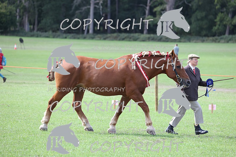 APP_3343 - Class 4 Veterans