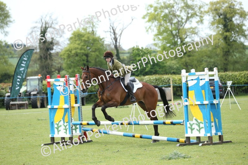 20260426-2078 - Class 15 - Absolute Novice 70cm