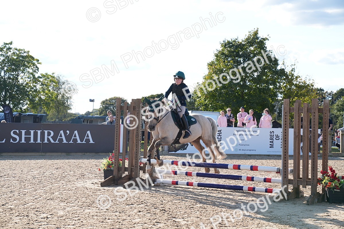 SBM_27935 - J43 - Super Speedy Scurry Open - 60cm