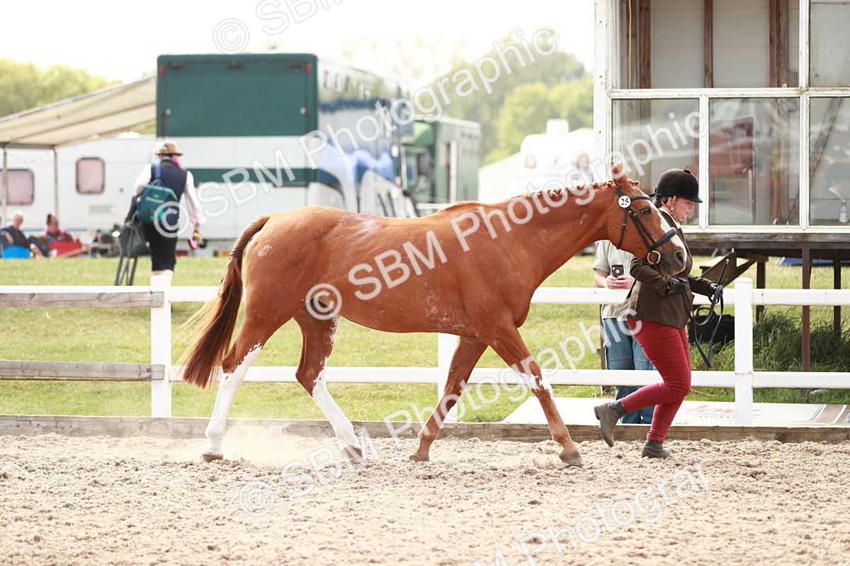 SBM_13211 - Class 208 IH Veteran Horse