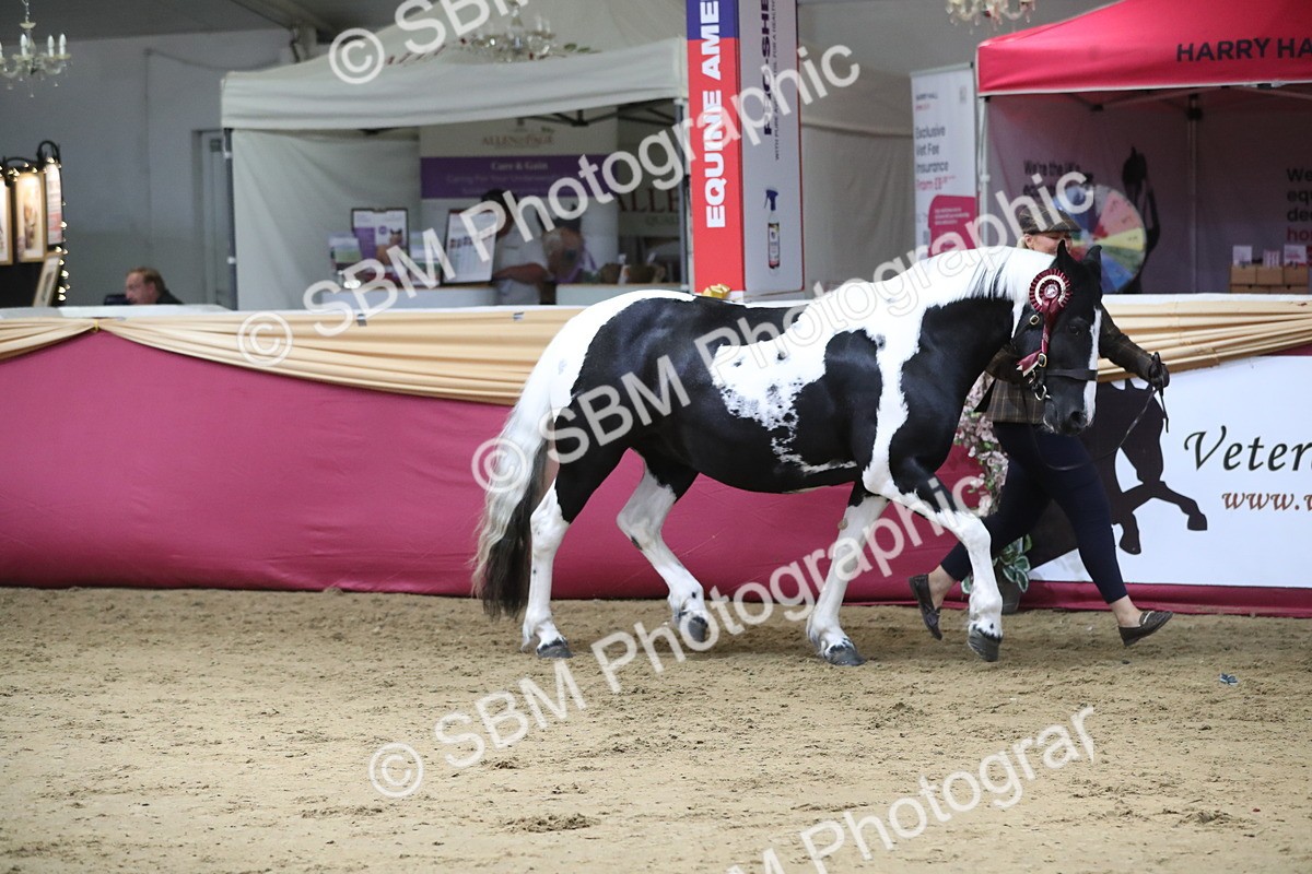 SBM_06508 - Class 9R Regional- IH Pre Vet