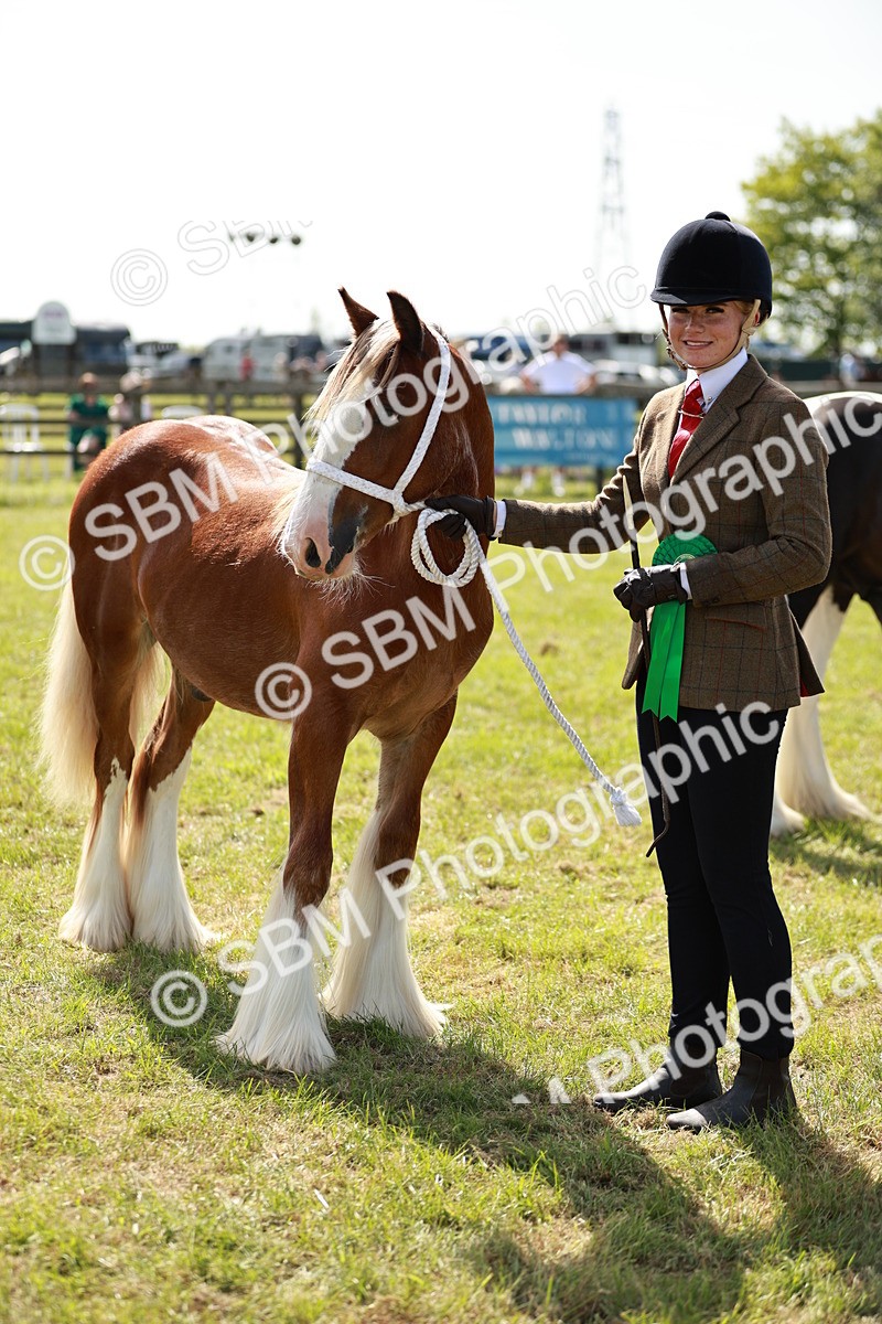 SBM_08712