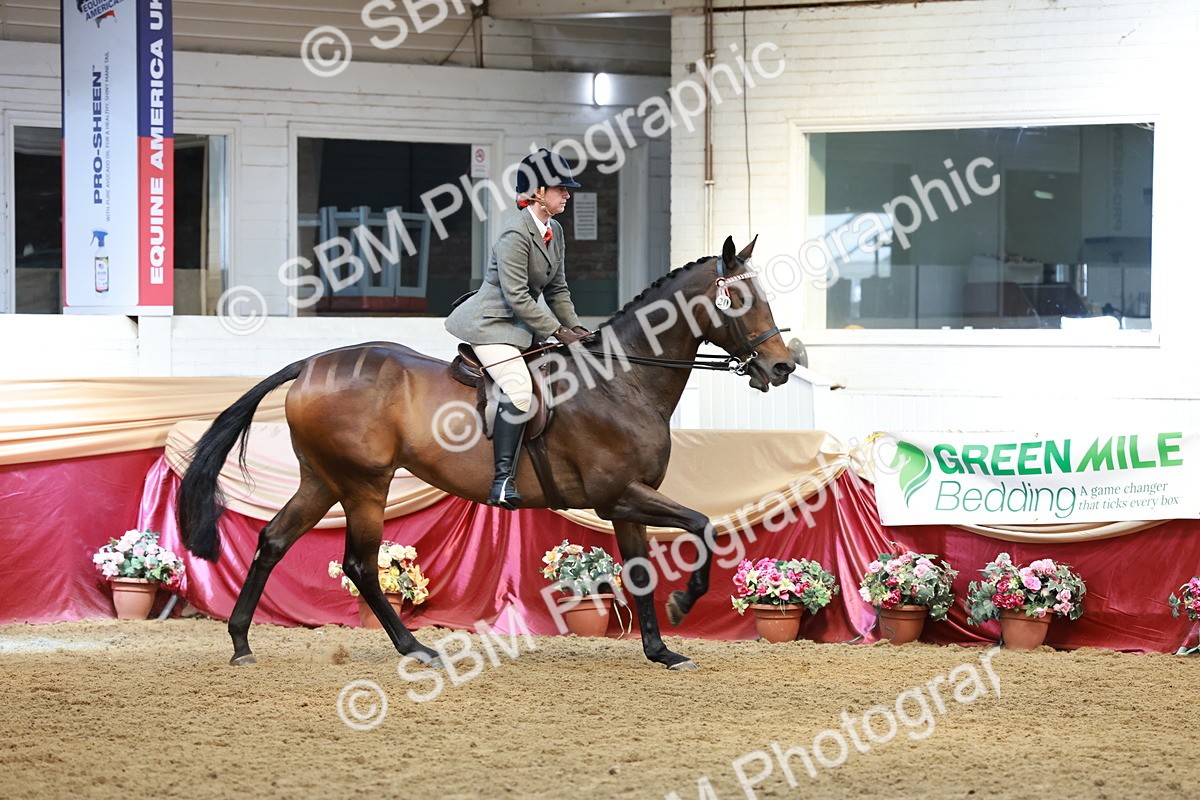 SBM_14966 - Class 108 - Ridden Retired Racehorse