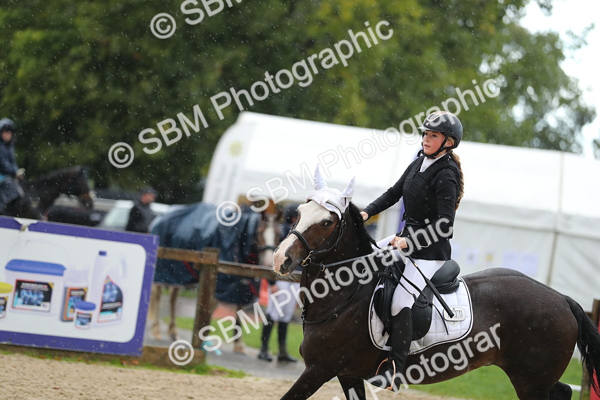 SBM_37179 - J20 - Junior Horse 50cm Championship