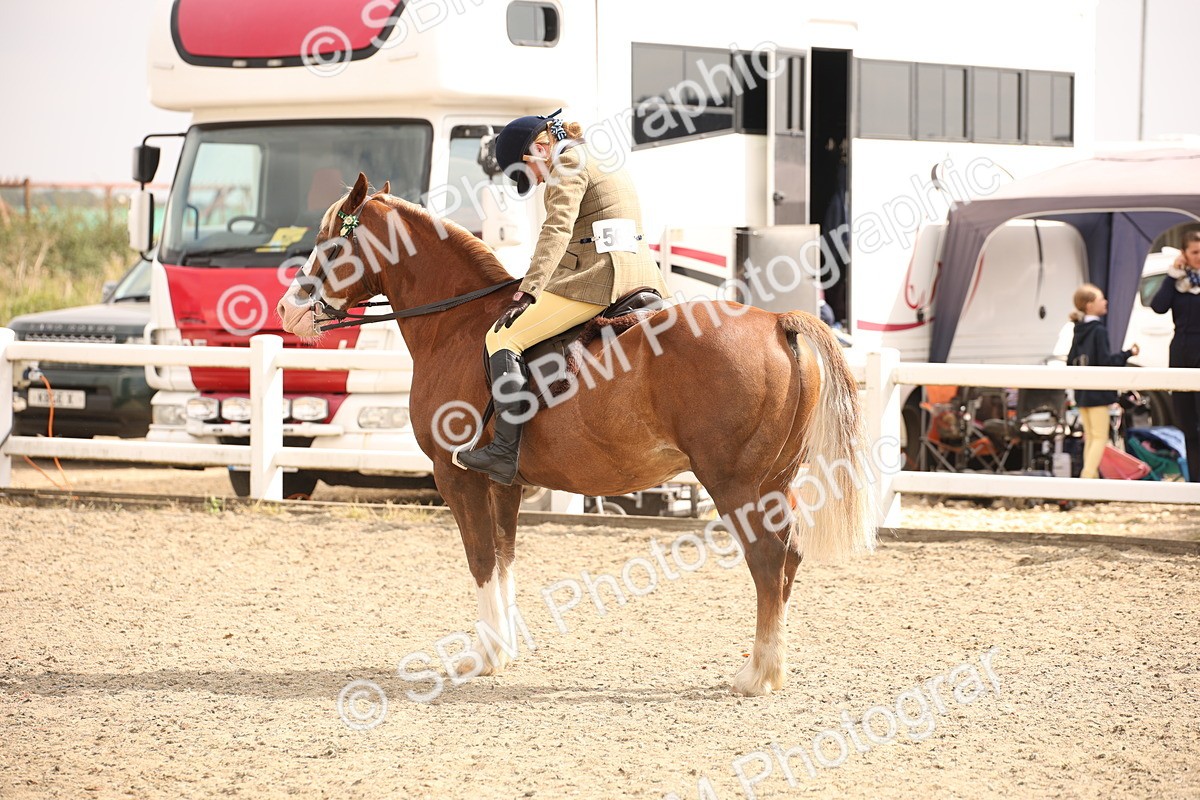 SBM_12609 - Class 405b - M&M Working Veteran 50cm 20+