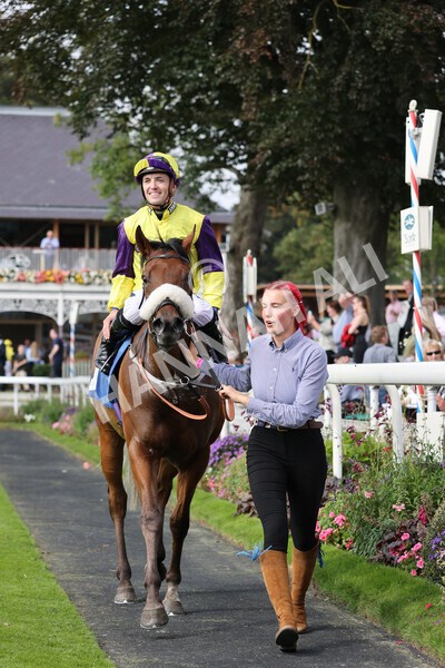 yr05092021r2-35 - Race 2 2.40pm John and Judith Marshall Memorial Stakes